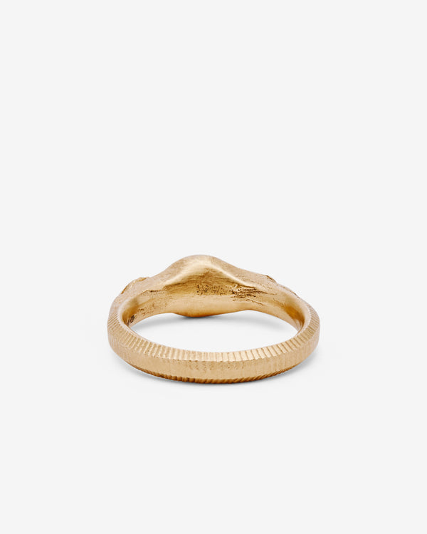 Fraser Hamilton - Found Ring - (Yellow Gold)