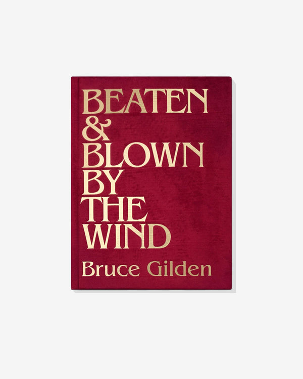 Idea Books - Beaten and Blown by the Wind by Bruce Gilden