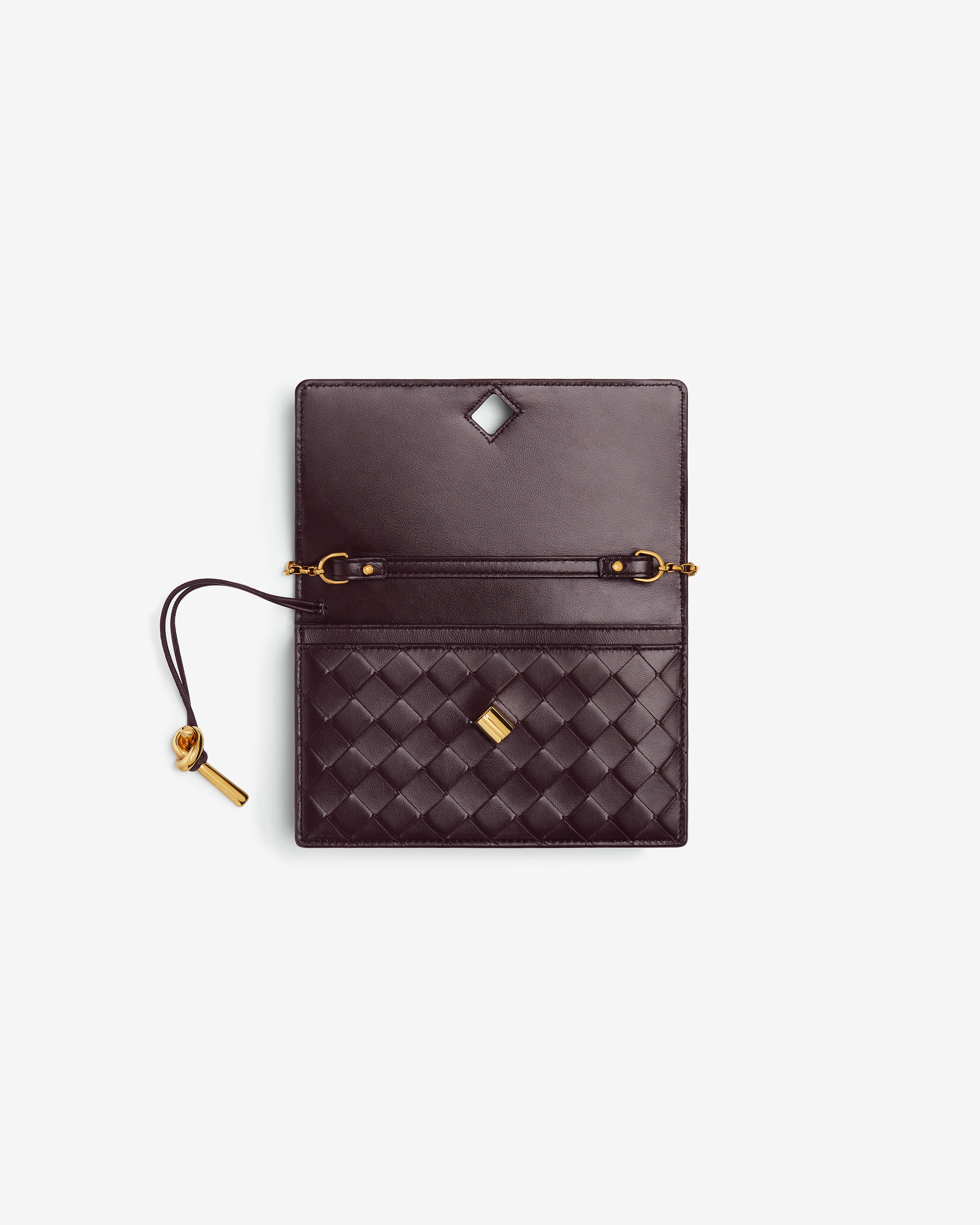 Bottega Veneta: Andiamo Pouch on Chain (Dark Barolo) | Dover