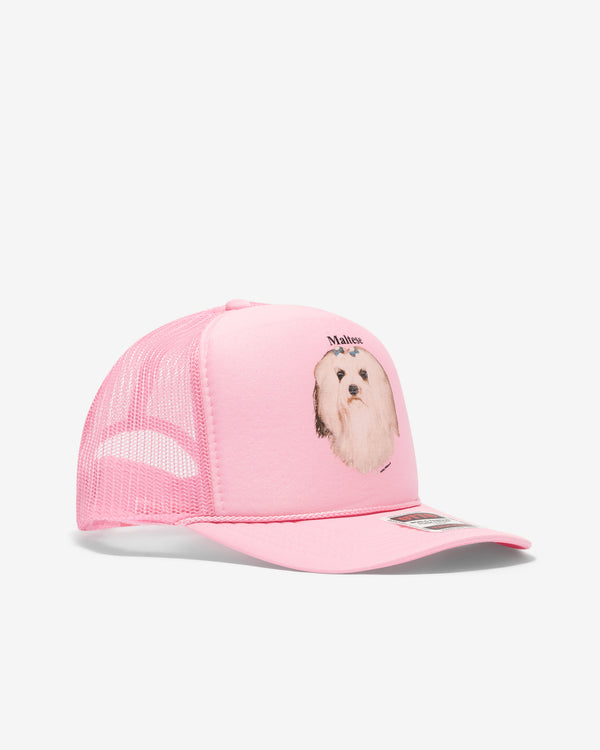 Ashley Williams - Women’s Matlese Cap - (Pink)