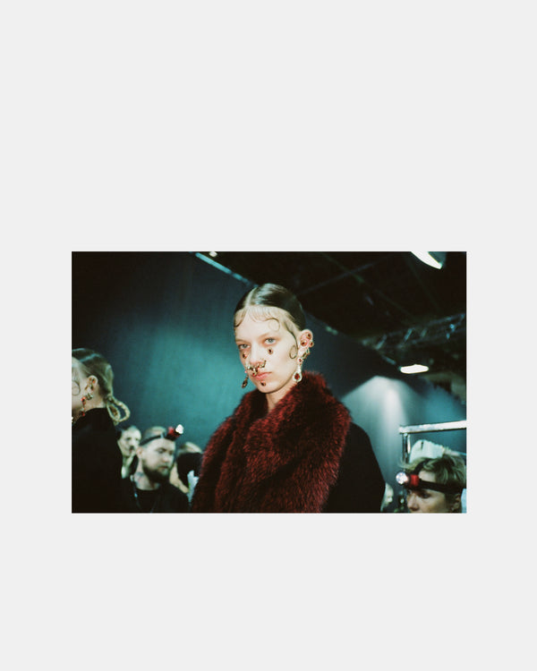 Idea Books - Sofia Malamute Behind The Scenes