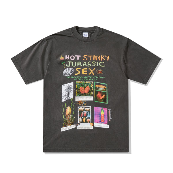 Cactus Store - Men's Hot Stinky Jurassic Sex T-Shirt - (Black)