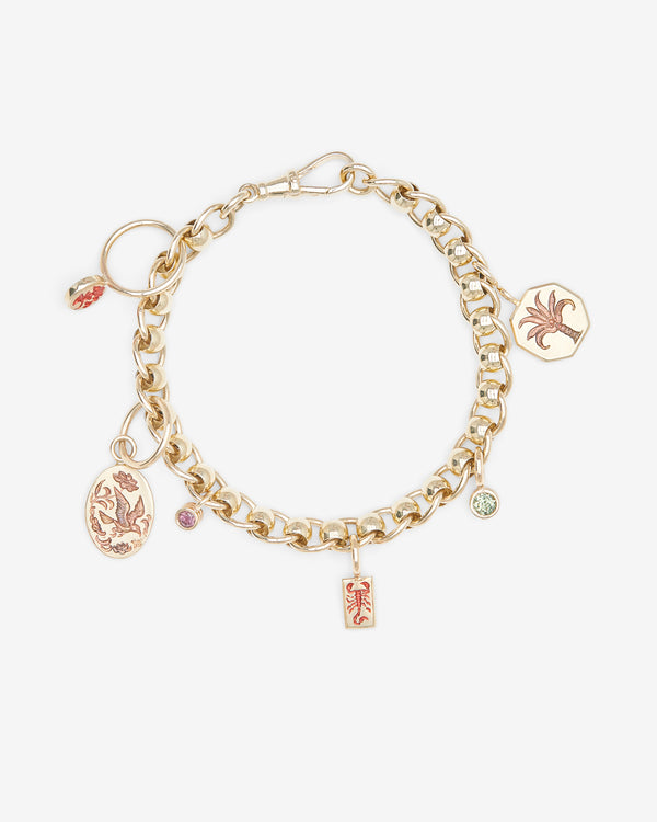 Castro - Desert Charm Bracelet - (Multi)