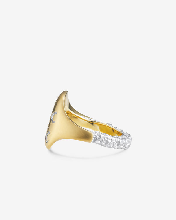 Castro-1700000019482-b