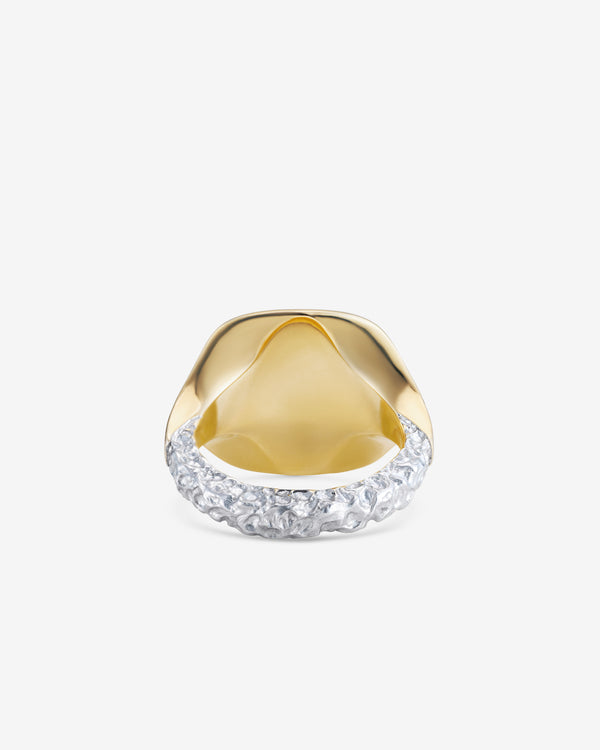 Castro-1700000019482-c