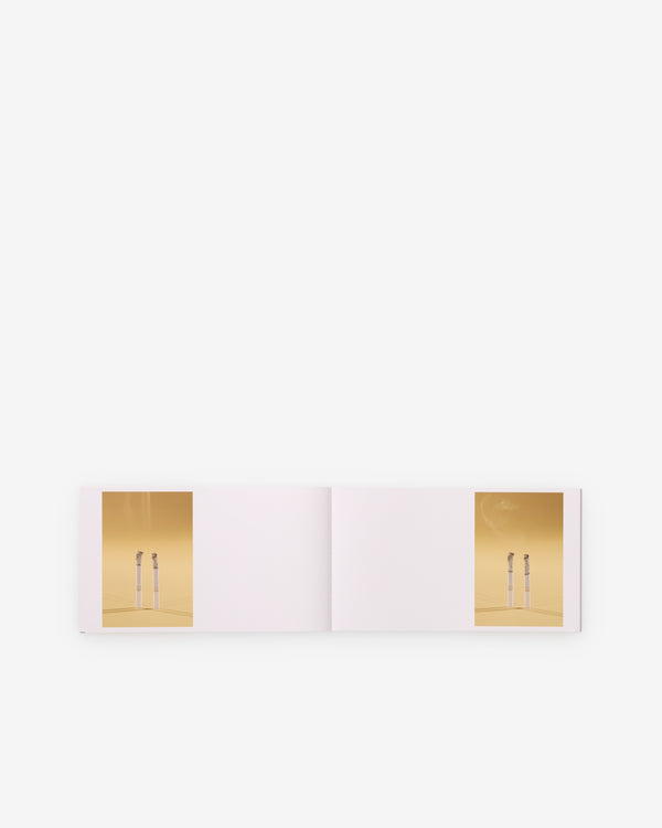 Friend Editions -  The Last American Pastoral by Chris Glickman