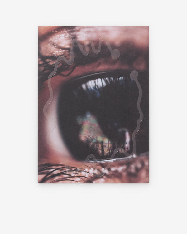 Friend Editions - Pray To Be A Bird by Colin Sussingham