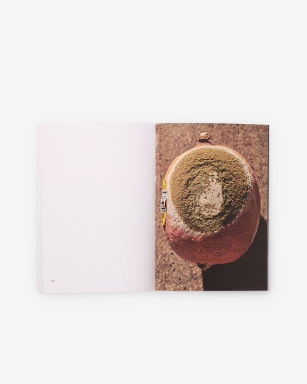 Friend Editions - Pray To Be A Bird by Colin Sussingham