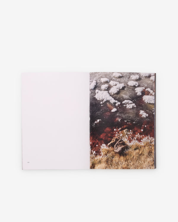 Friend Editions - Pray To Be A Bird by Colin Sussingham