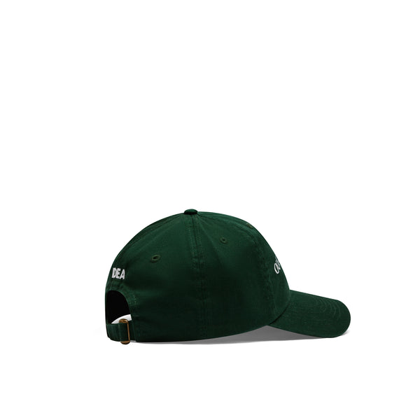 Idea Books -  Out For Lunch Hat - (Green)