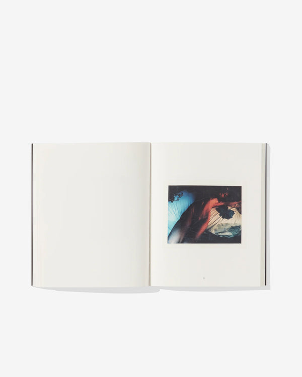 Idea Books - Davide Sorrenti Polaroids