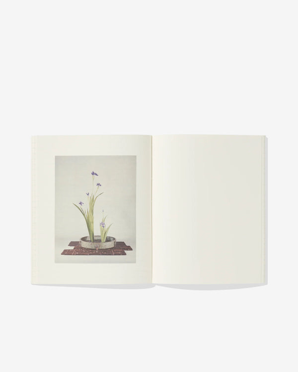 Idea Books - Ikebana An Idea Book