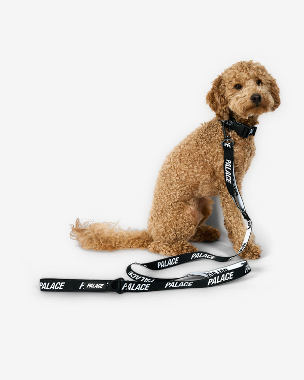 Palace - Men's Jacquarded Dog Collar And Lead - (Black)