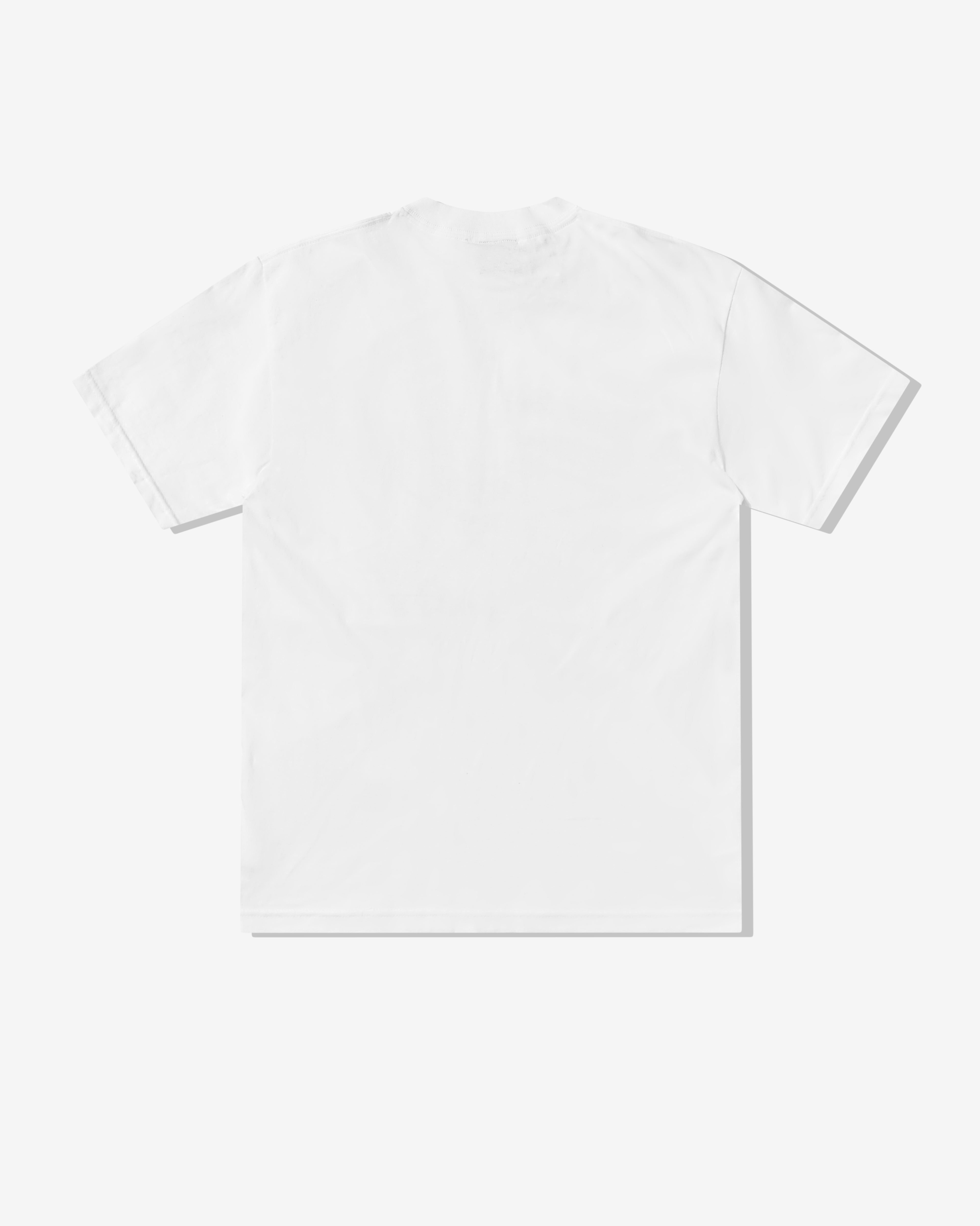 Passion: Men's Target Practice T-Shirt (Red) | DSML E-SHOP