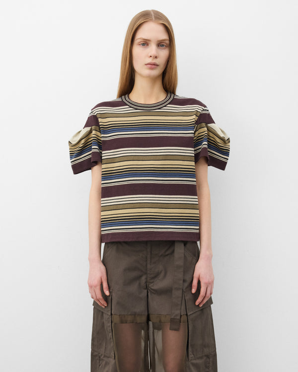 SACAI_1500000112876_21091