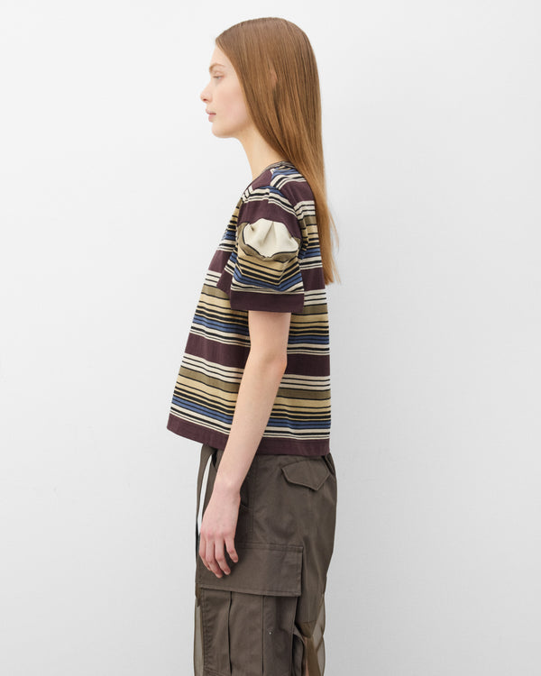 SACAI_1500000112876_21093