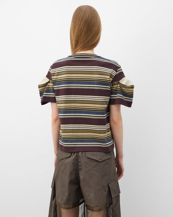 SACAI_1500000112876_21095