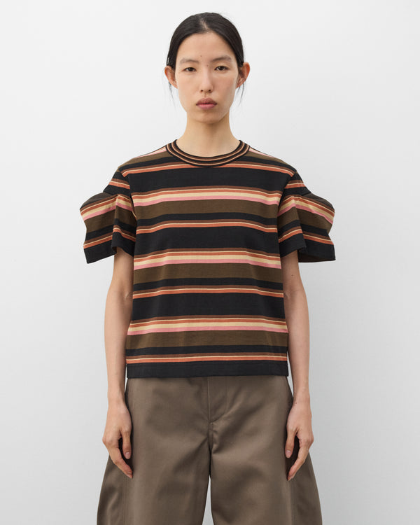 SACAI_1500000112883_4451