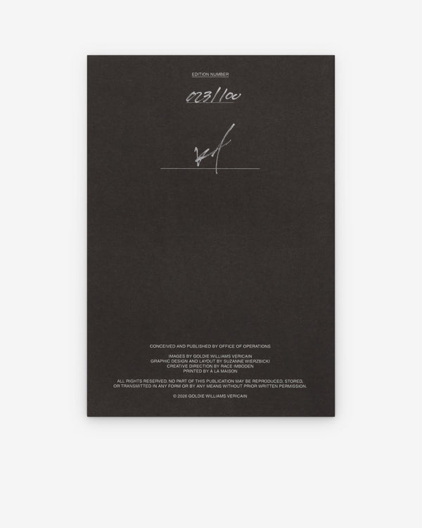 Goldie Williams Vericain - Intro Zine