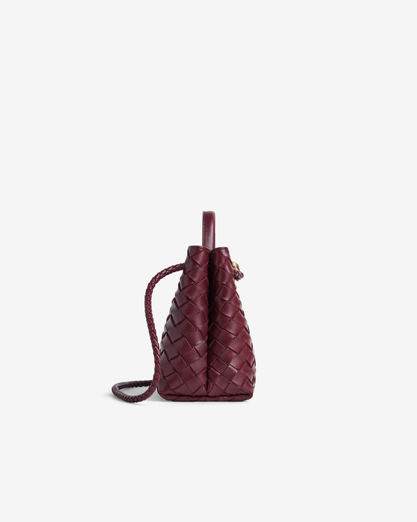 Bottega Veneta - Small Andiamo Bag - (Barolo)