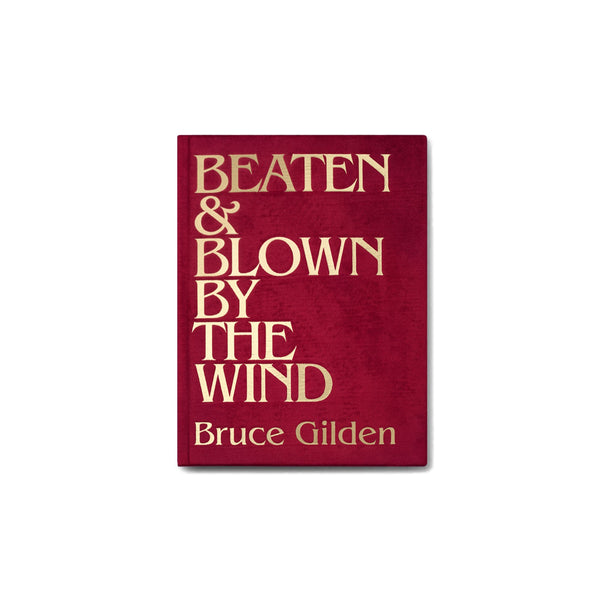 Idea Books - Beaten and Blown by the Wind by Bruce Gilden